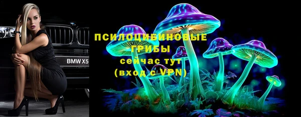 амф Абаза