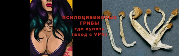 стаф Абинск