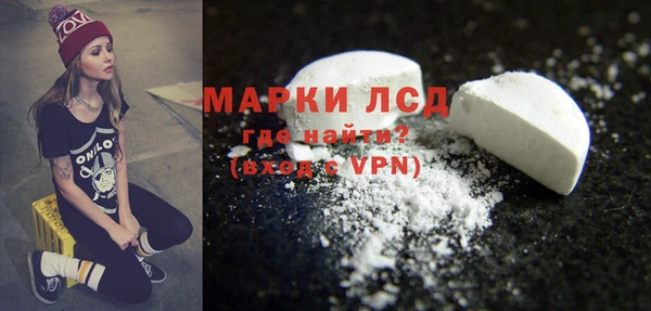 стаф Абинск