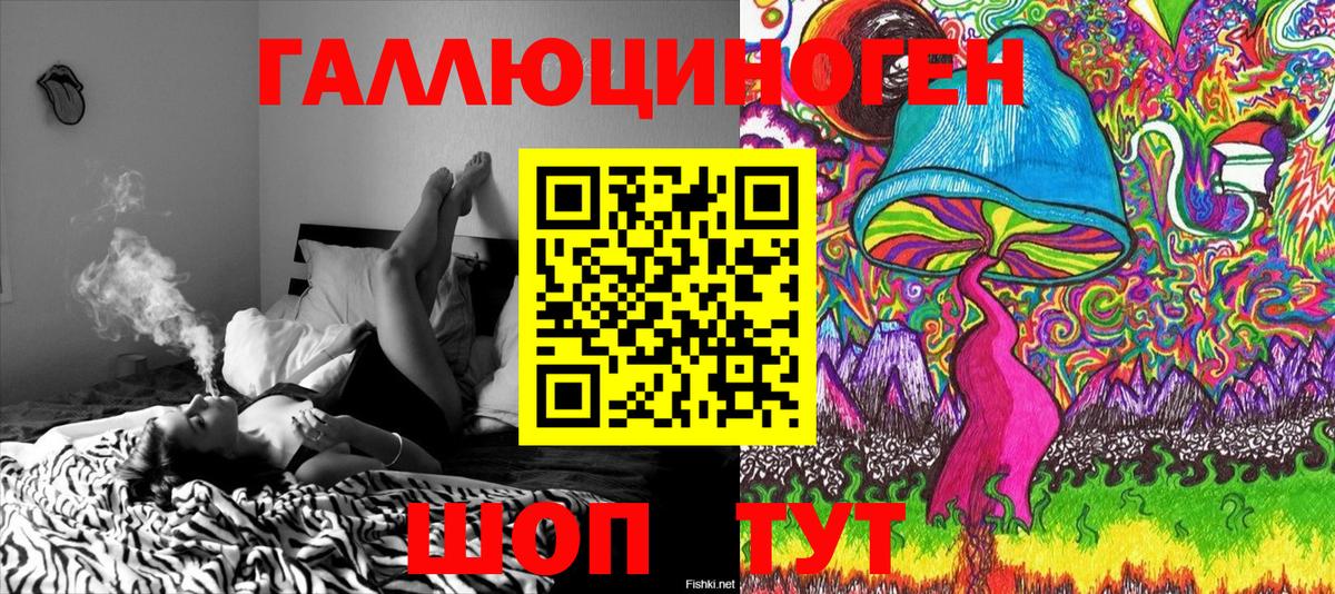 Галлюциногенные грибы Psilocybine cubensis Каменск-Шахтинский
